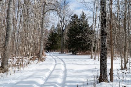 Land for sale in Alpena County, Michigan