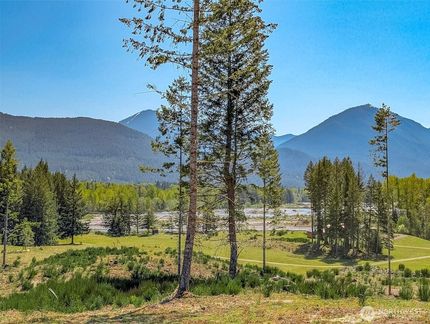 Undeveloped Land for sale in Lewis County, Washington