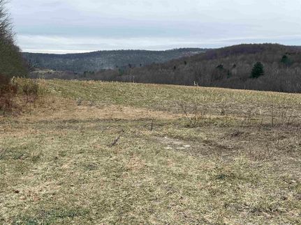 Undeveloped Land for sale in Bennington County, Vermont