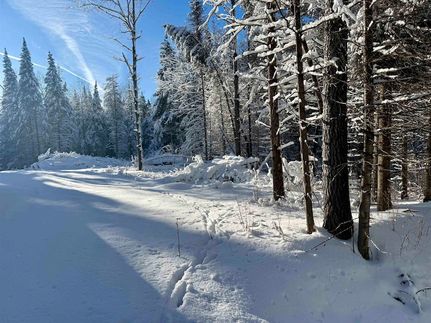 Land for sale in Lincoln County, Wisconsin