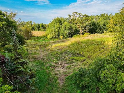 Undeveloped Land for sale in Polk County, Minnesota