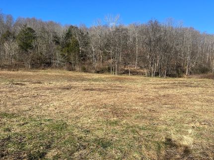 Undeveloped Land for sale in Lincoln County, Tennessee