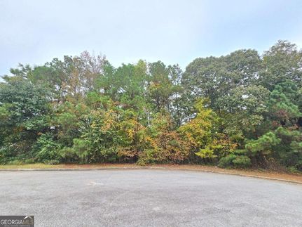 Undeveloped Land for sale in Douglas County, Georgia