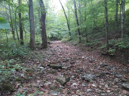 Land for sale in Wayne County, Kentucky