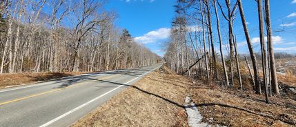 Timberland Property for sale in Cumberland County, Virginia