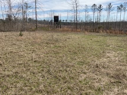 Recreational Property for sale in Butler County, Alabama