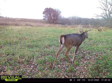 Land for sale in Putnam County, Missouri