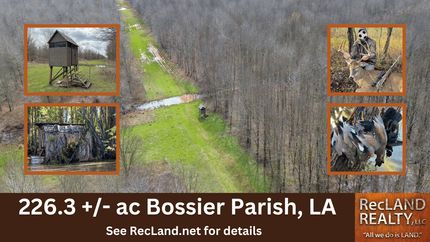 Land for sale in Bossier Parish, Louisiana