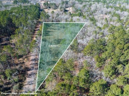 Timberland Property for sale in Angelina County, Texas