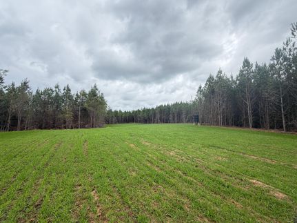 Land for sale in Covington County, Alabama