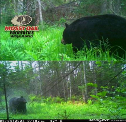 Land for sale in Roscommon County, Michigan