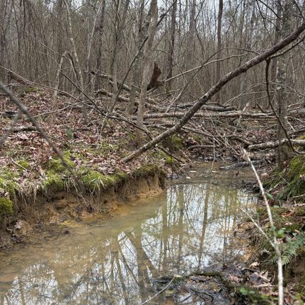 Farm and Ranch for sale in Talladega County, Alabama