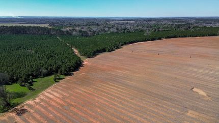 Farm and Ranch for sale in Clay County, Georgia