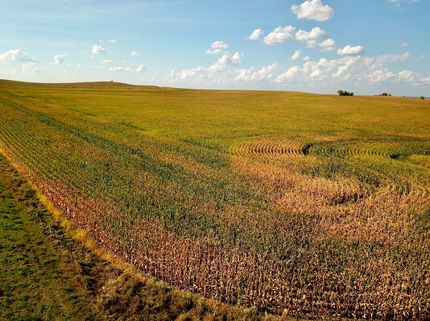 Farm and Ranch in Oliver County, North Dakota