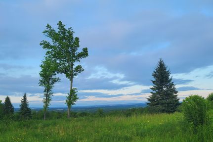 Timberland Property in Aroostook County, Maine