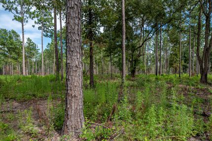 Farm and Ranch for sale in Baker County, Georgia
