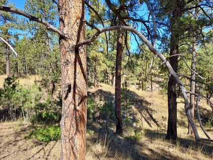 Recreational Property for sale in Musselshell County, Montana