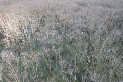 Land for sale in Leflore County, Mississippi