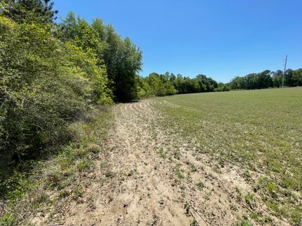 Farm and Ranch for sale in Jackson County, Florida