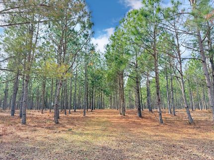 Recreational Property for sale in Dillon County, South Carolina