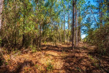 Farm and Ranch for sale in Columbia County, Florida