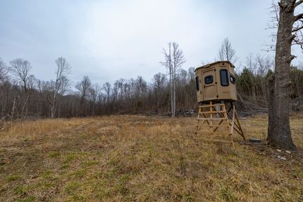 Farm and Ranch for sale in Livingston County, Kentucky