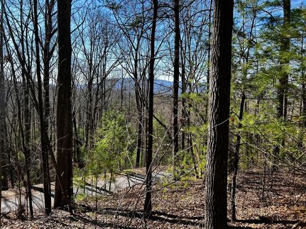 Farm and Ranch for sale in Polk County, Tennessee