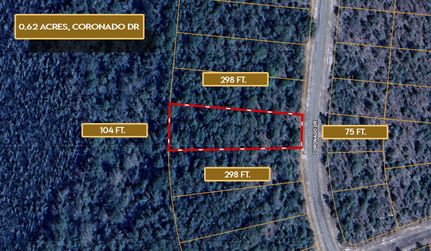 Timberland Property for sale in Washington County, Florida