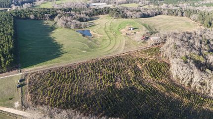 Farm and Ranch for sale in Barbour County, Alabama