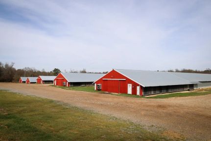 Farm and Ranch for sale in Claiborne Parish, Louisiana