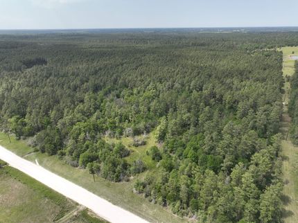 Timberland Property in Walker County, Texas