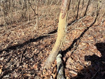 Farm and Ranch for sale in Washington County, Pennsylvania