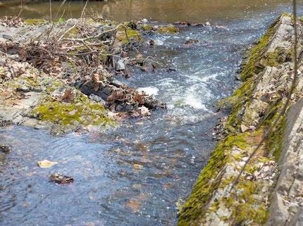 Timberland Property for sale in Atoka County, Oklahoma