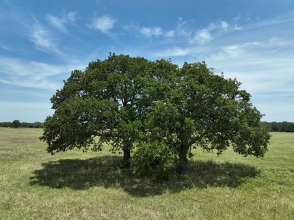 Recreational Property for sale in Lee County, Texas