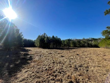 Farm and Ranch for sale in Polk County, Texas