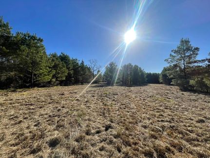 Farm and Ranch for sale in Polk County, Texas