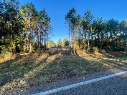 Land for sale in Polk County, Texas