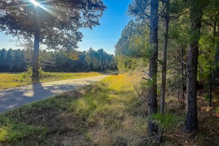 Land for sale in Vernon Parish, Louisiana