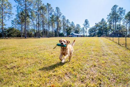 Commercial Property for sale in Brooks County, Georgia