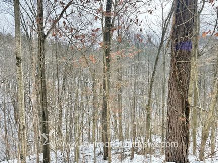 Farm and Ranch for sale in Mingo County, West Virginia