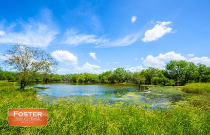 Farm and Ranch for sale in Hidalgo County, Texas