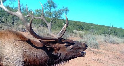 Farm and Ranch for sale in Stonewall County, Texas