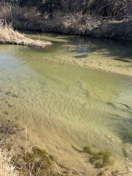 Farm and Ranch for sale in Woodward County, Oklahoma