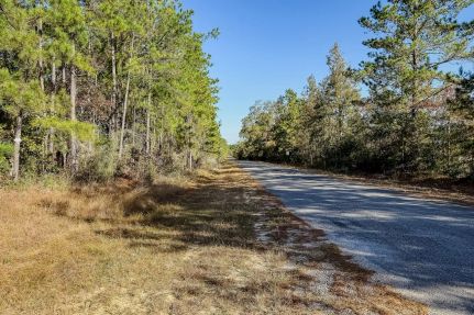 Land for sale in Beauregard Parish, Louisiana