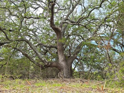 Farm and Ranch for sale in Burnet County, Texas