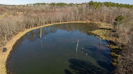 Timberland Property for sale in Lamar County, Georgia