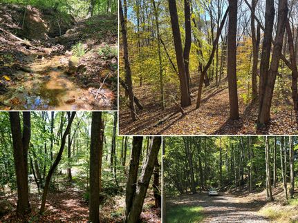Recreational Property for sale in Gallia County, Ohio