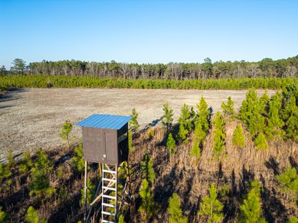 Timberland Property for sale in Dodge County, Georgia