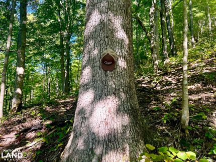 Farm and Ranch for sale in Estill County, Kentucky