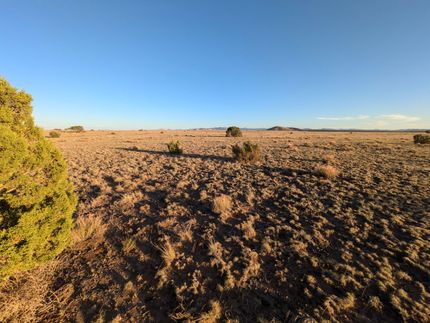 Timberland Property for sale in Apache County, Arizona